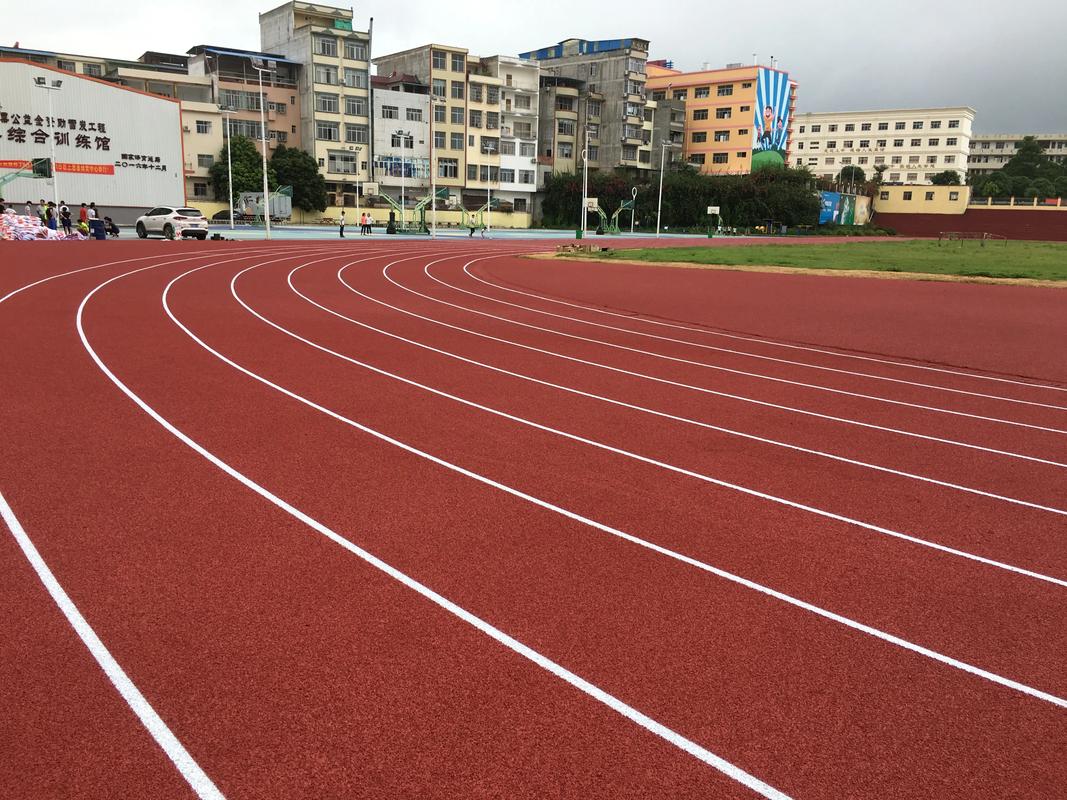 昌吉回族自治州人造草坪塑胶跑道材料 - 排名